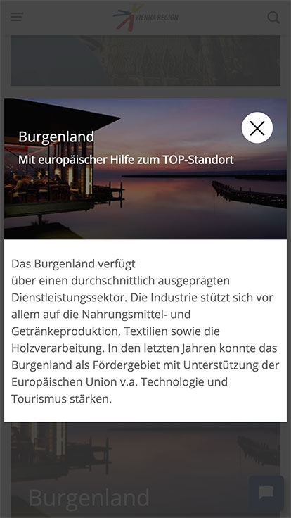 Vienna Region Marketing | viennaregion.at | 2017 (Phone Only 03) © echonet communication